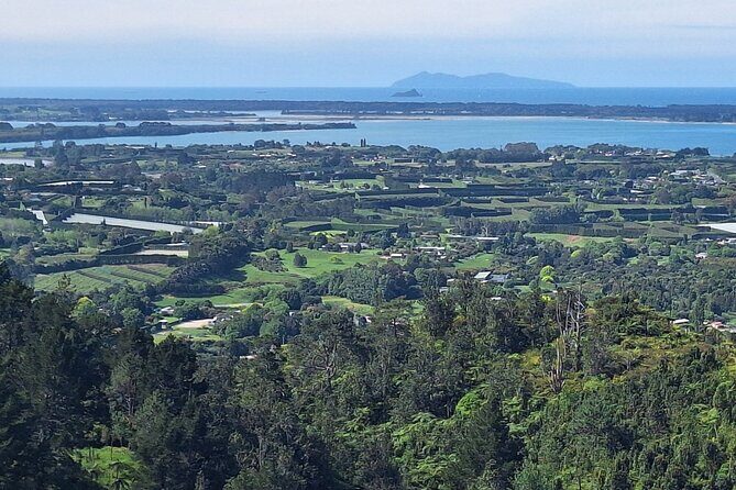 The Big Bay Tour with Te Puna Sculpture garden and Minden Views - The Itinerary in Detail