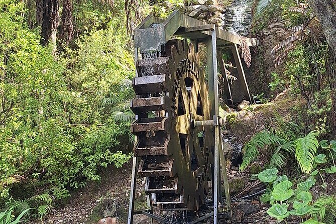 The Big Bay Tour with Te Puna Sculpture garden and Minden Views - Practical Considerations and Tips