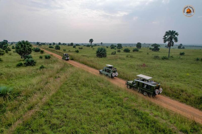 The Big5 3 Days Wildlife Adventure Experience in Uganda. - Exploring the Itinerary: How the Experience Unfolds