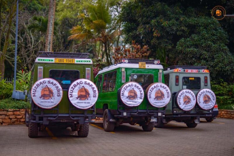 The Big5 3 Days Wildlife Adventure Experience in Uganda. - What Makes This Tour Stand Out?