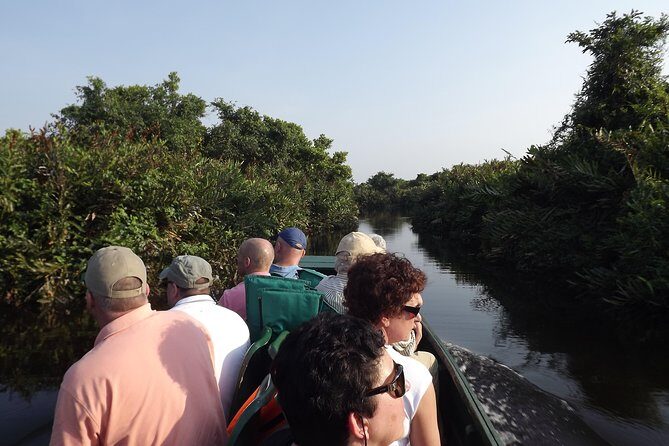The birdwatchers quest:through the Swamp of Royal TreasureMuturajawela Wetlands - The Birdwatcher’s Quest: Through the Swamp of Royal Treasure at Muturajawela Wetlands