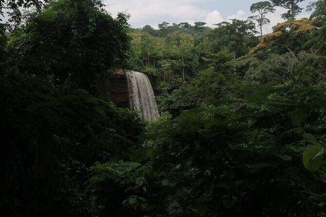 The Botanical Gardens and Water Falls Experience - Private Tour - Deep Dive into the Experience