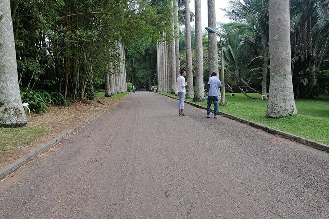 The Botanical Gardens and Water Falls Experience - Private Tour - FAQ