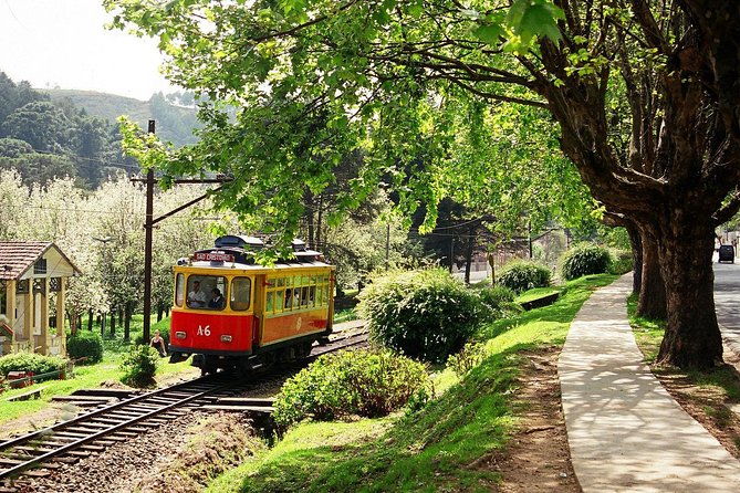 the-brazilian-switzerland-day-trip-on-campos-do-jordao-from-sao-paulo