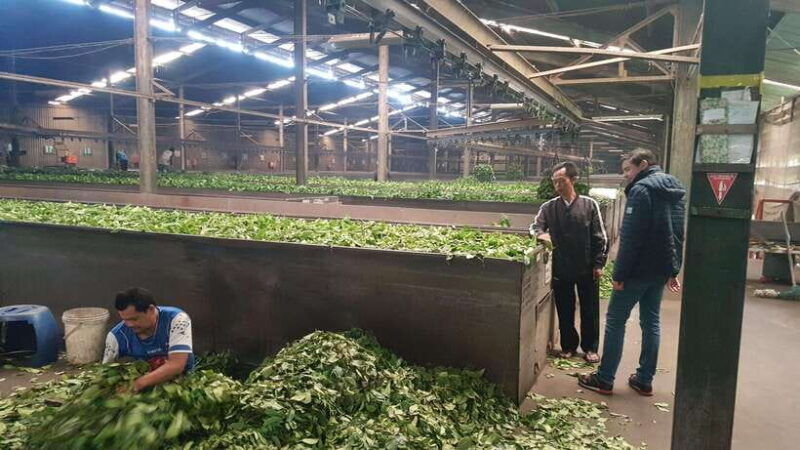 the-breathtaking-views-of-the-countryside-in-bandung