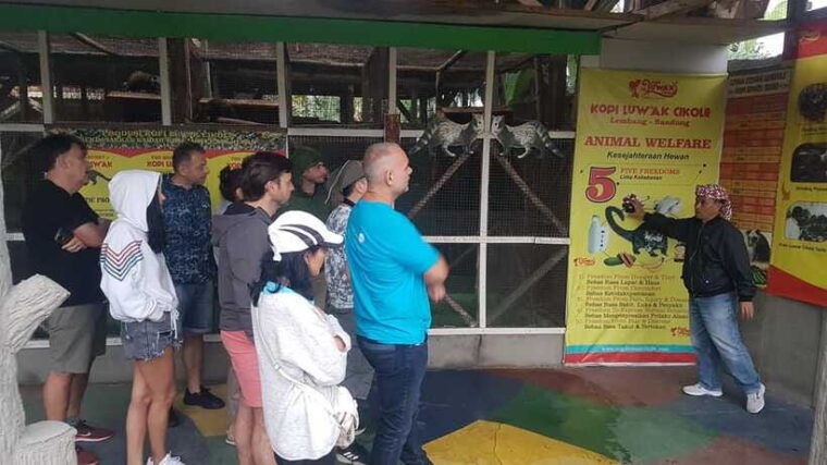 the-breathtaking-views-of-the-countryside-in-bandung