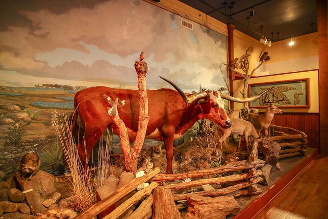 the-buckhorn-saloon-museum-and-texas-ranger-museum-admission
