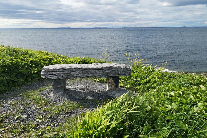 the-burren-and-cliffs-of-moher-full-day-private-tour-from-galway