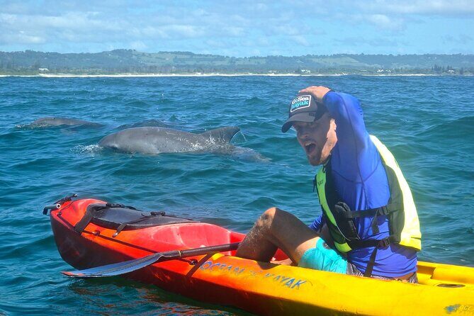 The Byron Bay Sea Kayak Tour - Exploring the Tour: What You Can Expect
