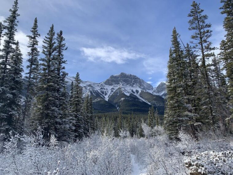 the-canmore-history-tour-cowboys-and-coal-miners-1-5h-walk