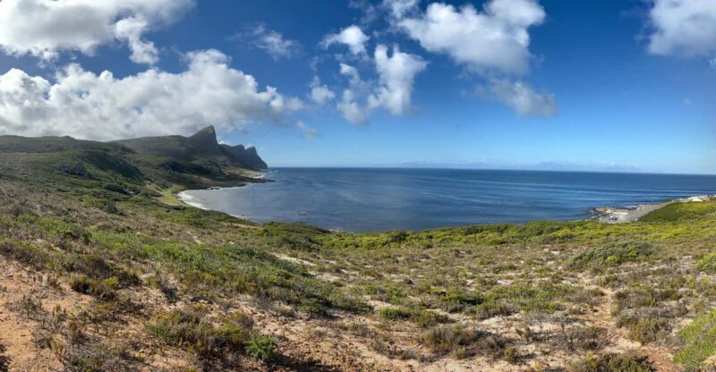 The Cape Peninsula: A Day of Coastal Elegance - The Magic of Cape Point