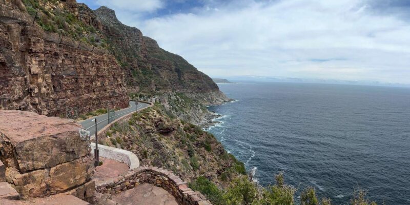 The Cape Peninsula: A Day of Coastal Elegance - Surprises and Unique Experiences