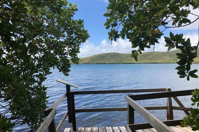 the-caravelle-hike-in-martinique