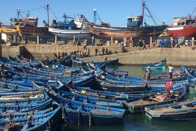 The Charms of Essaouira Mogador and the Argan tree Forests - Key Points