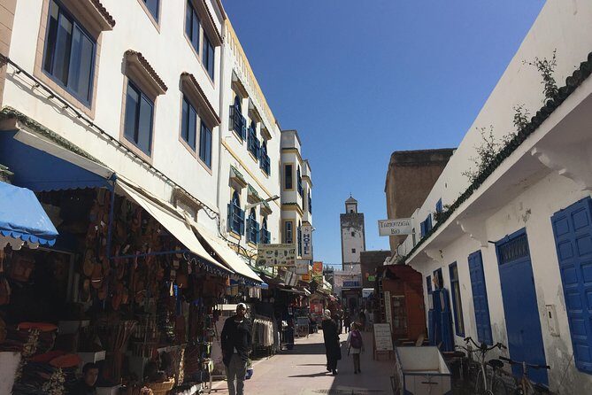 The Charms of Essaouira Mogador and the Argan tree Forests - Detailed Breakdown of the Itinerary