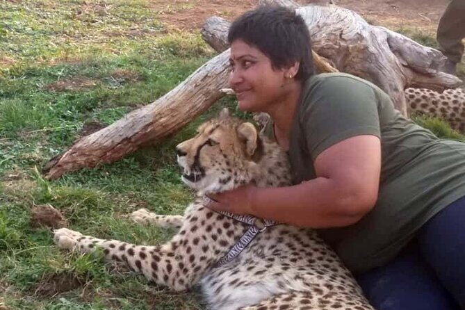 The Cheetah Experience - What Is The Cheetah Experience All About?  