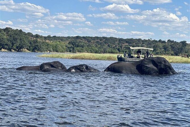 The Chobe Safari Day trip from Livingstone - Key Points