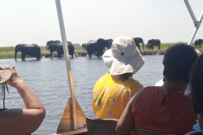 The Chobe Safari Day trip from Livingstone - Unpacking the Value: What Makes This Tour Stand Out