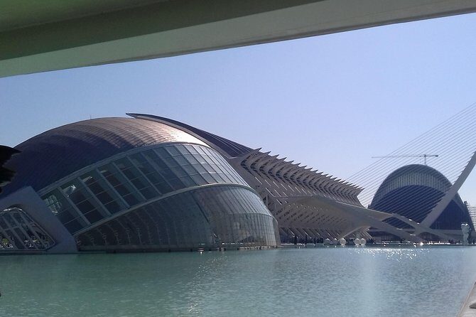 The City of Arts and Sciences in Valencia - Who Should Choose This Tour?