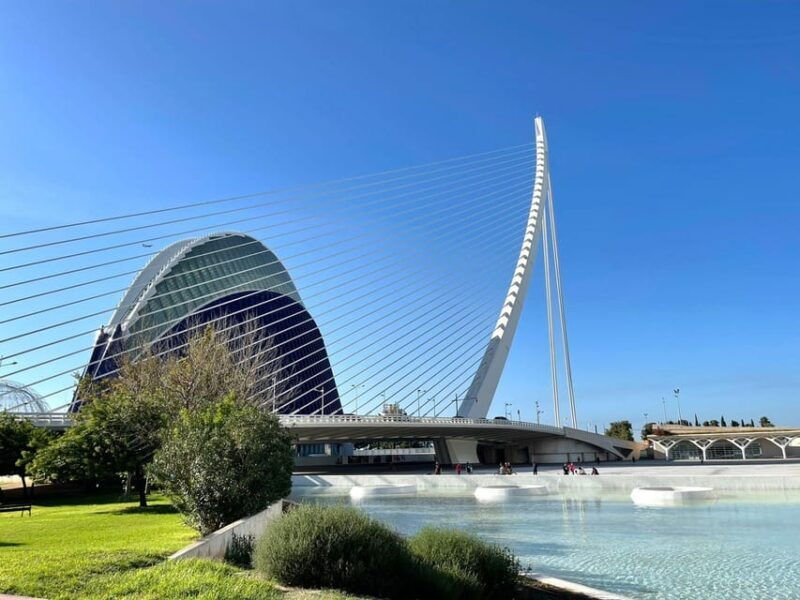 the-city-of-arts-and-sciences-in-valencia