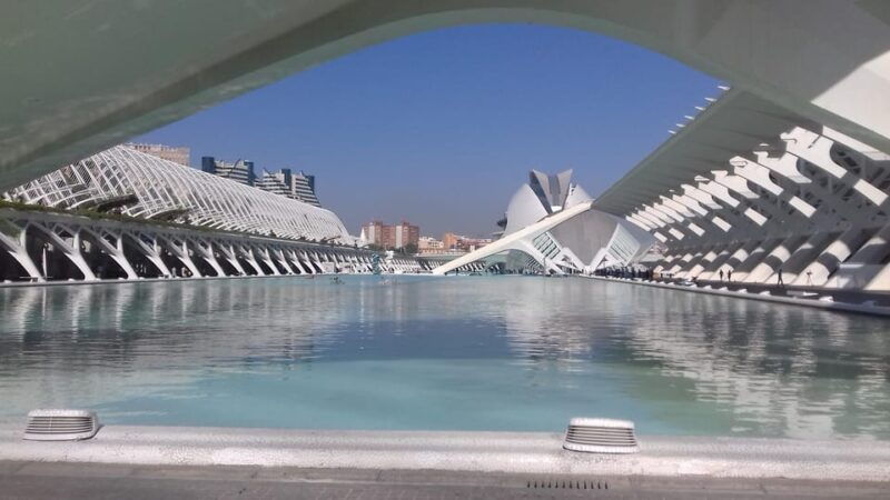 the-city-of-arts-and-sciences-in-valencia