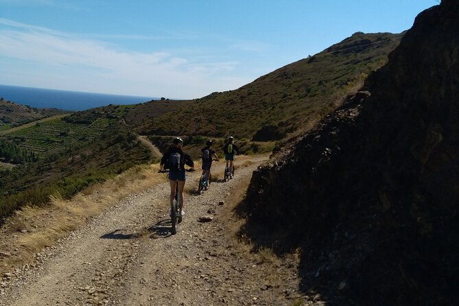the-collioure-tops-on-electric-scooters