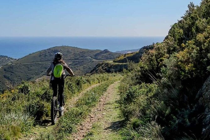 the-collioure-tops-on-electric-scooters