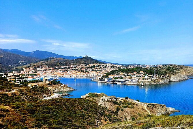 the-collioure-tops-on-electric-scooters