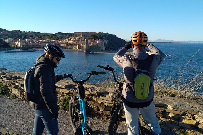 the-collioure-tops-on-electric-scooters