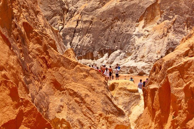 the-colorful-sands-of-morro-branco-beach-full-day-tour
