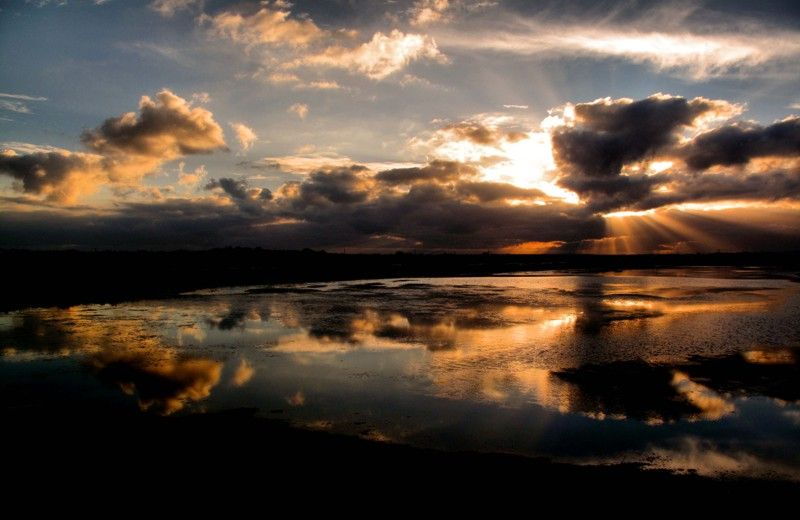 the-colors-of-ria-formosa-sunset-boat-trip-in-faro