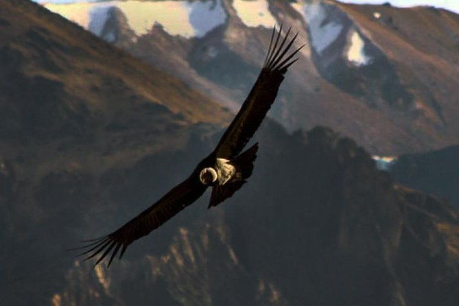 the-condor-canyon-in-chonta-1-day-private-service