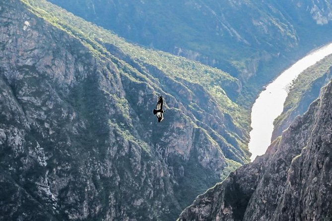 the-condor-canyon-in-chonta-1-day-private-service