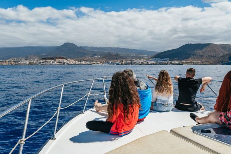 the-cookies-whale-dolphin-tour-with-local-skipper