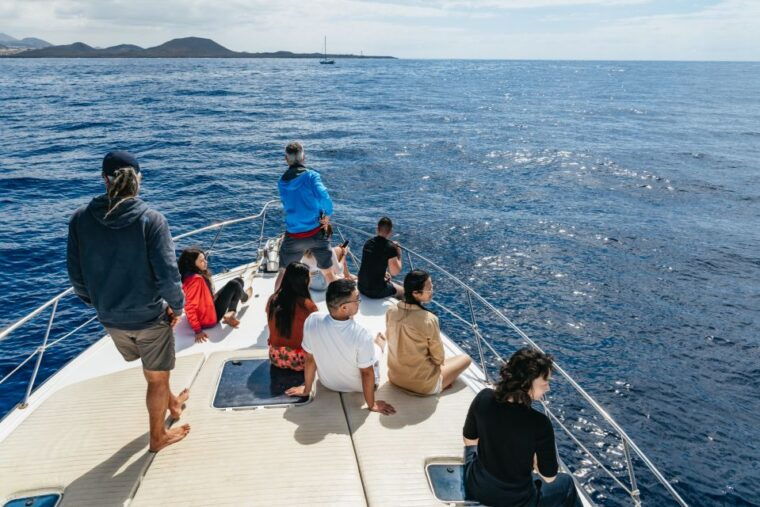 the-cookies-whale-dolphin-tour-with-local-skipper