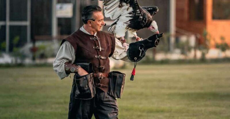 the-court-of-the-falconer-masseria-mazzetta