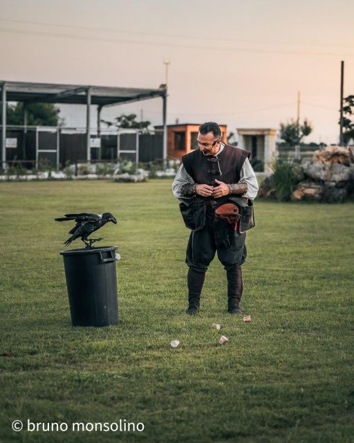 the-court-of-the-falconer-masseria-mazzetta