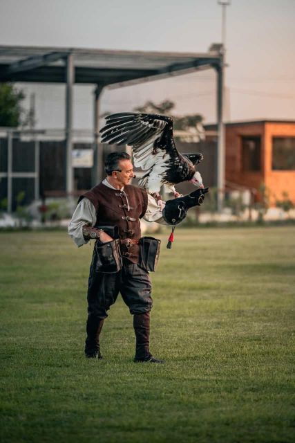 the-court-of-the-falconer-masseria-mazzetta