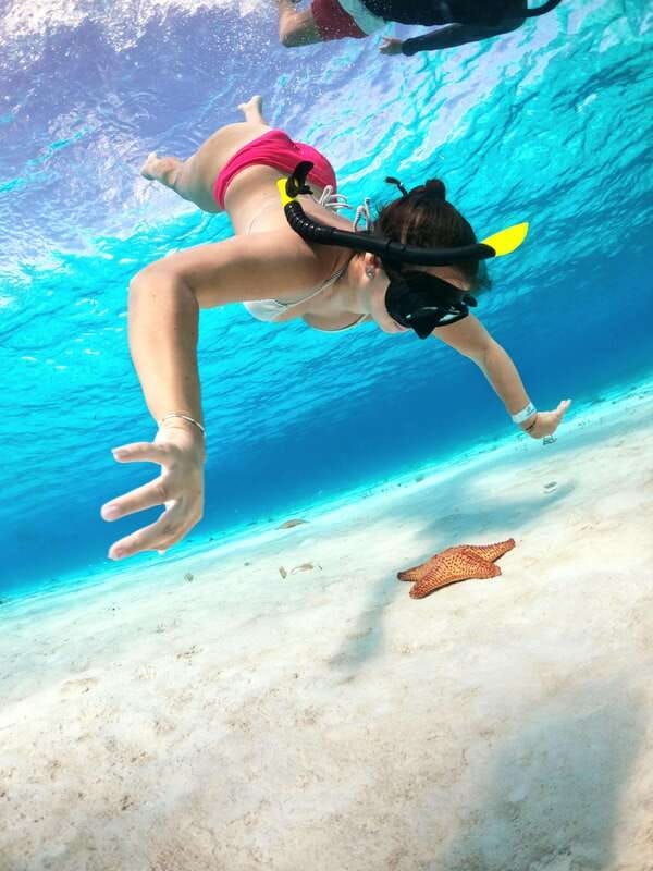 the-cozumel-turtle-sanctuary-snorkel-tour