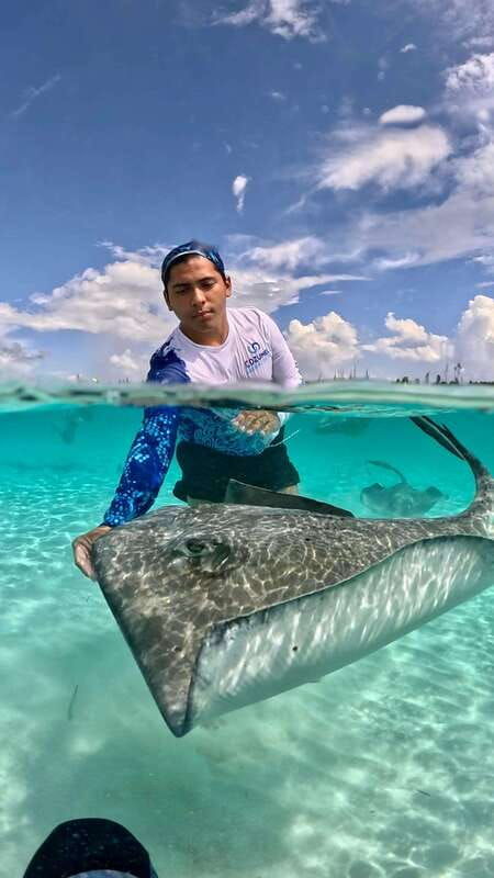 the-cozumel-turtle-sanctuary-snorkel-tour