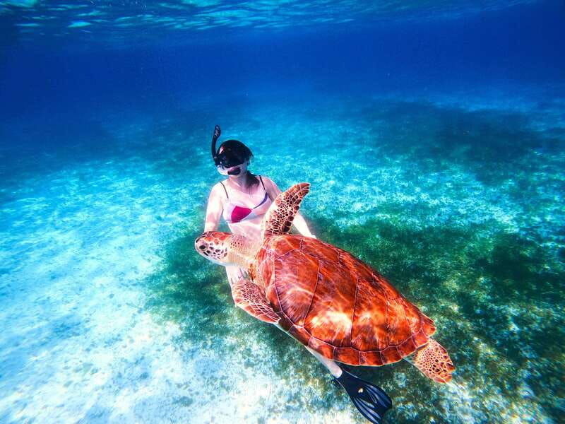 the-cozumel-turtle-sanctuary-snorkel-tour
