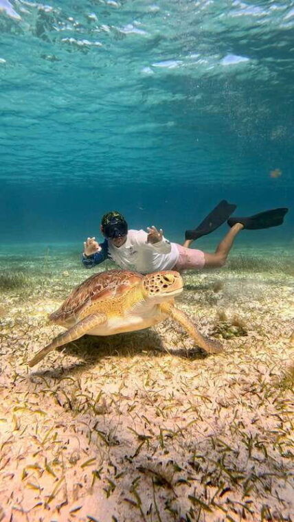 the-cozumel-turtle-sanctuary-snorkel-tour