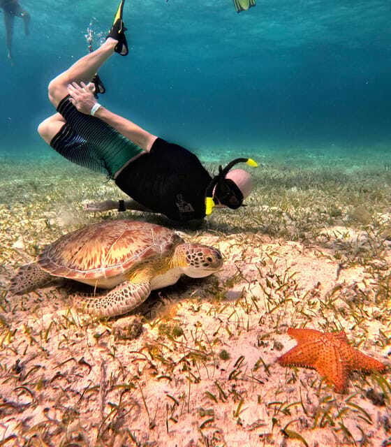the-cozumel-turtle-sanctuary-snorkel-tour