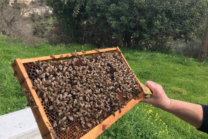 the-cretan-way-of-life-at-the-mountains-of-rethymno-mylopotamos