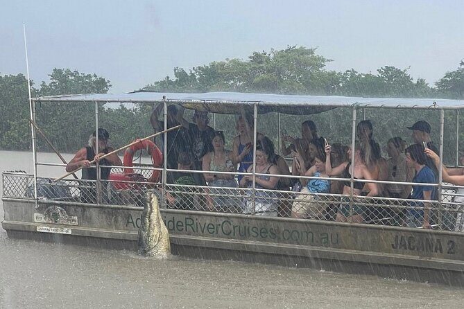 The Croc Bus to the Famous Jumping Crocodile Cruise - The Sum Up