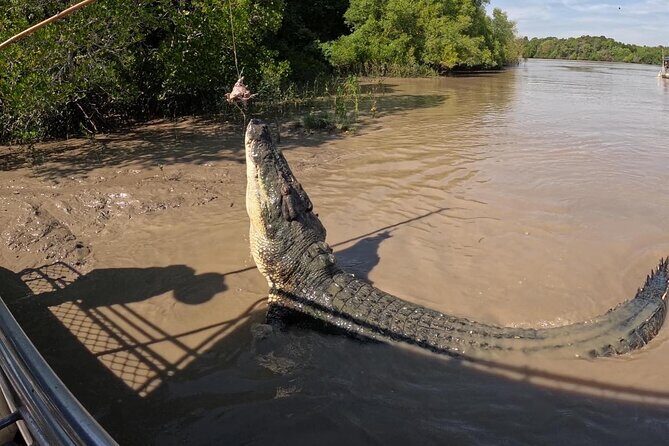 The Croc Bus to the Famous Jumping Crocodile Cruise - FAQ