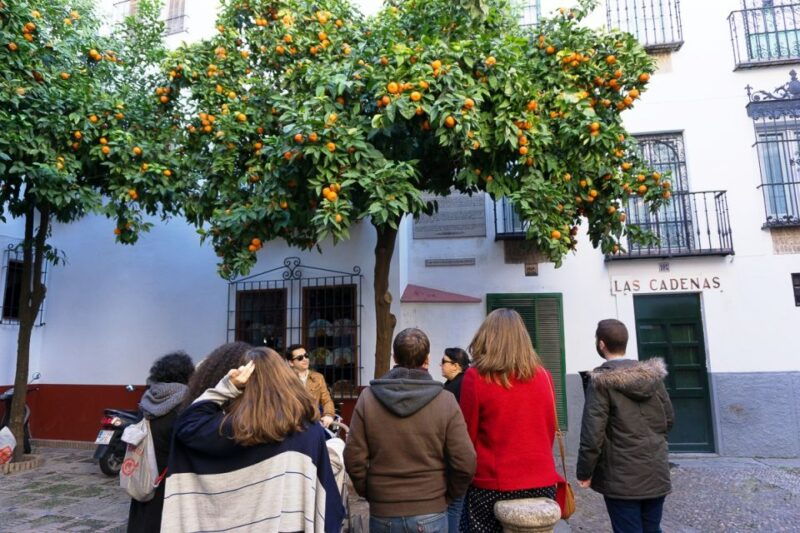 the-cultures-of-seville-walking-tour