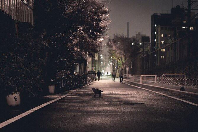 the-dark-side-of-osaka-walking-tour