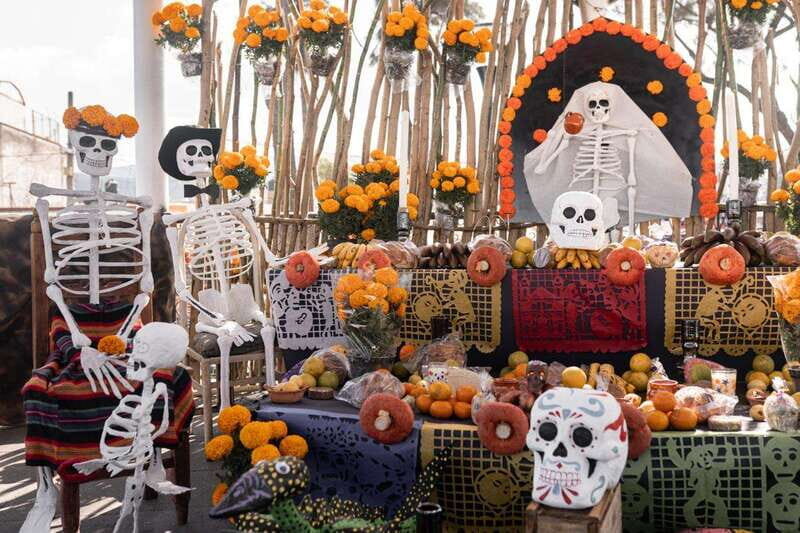 The Day of the Dead Tour in Mexico City - Practical Details and Value