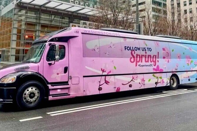 The DC Cherry Blossom Tour - Final Thoughts